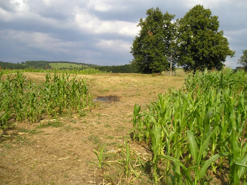Fotogaléria Zaniknutý Kostol sv. Juraja (47) Zaniknutý Kostol sv. Juraja