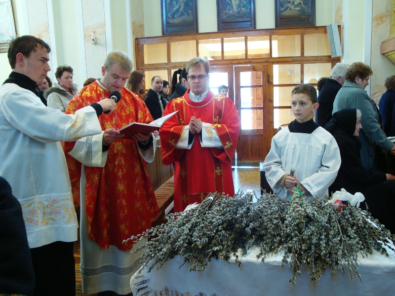 Fotogaléria Kvetná nedeľa (5) Kvetná nedeľa