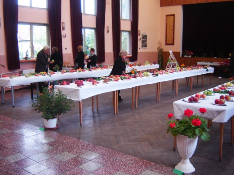 Fotogaléria Výstava záhradkárov 2010 (10) Výstava záhradkárov 2010